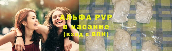 спайс Богданович
