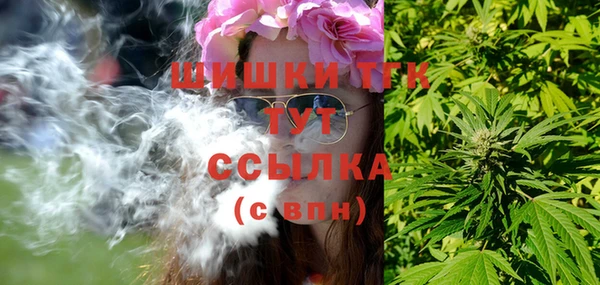 спайс Богданович
