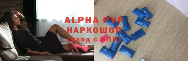 спайс Богданович