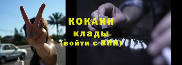 PSILOCYBIN Богородицк
