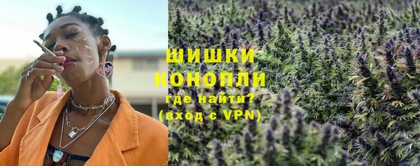 спайс Богданович
