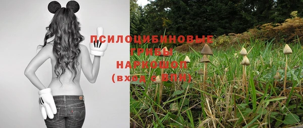спайс Богданович