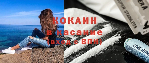 PSILOCYBIN Богородицк