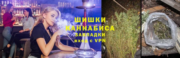 спайс Богданович