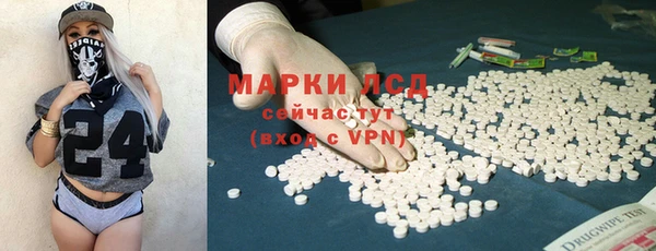 спайс Богданович